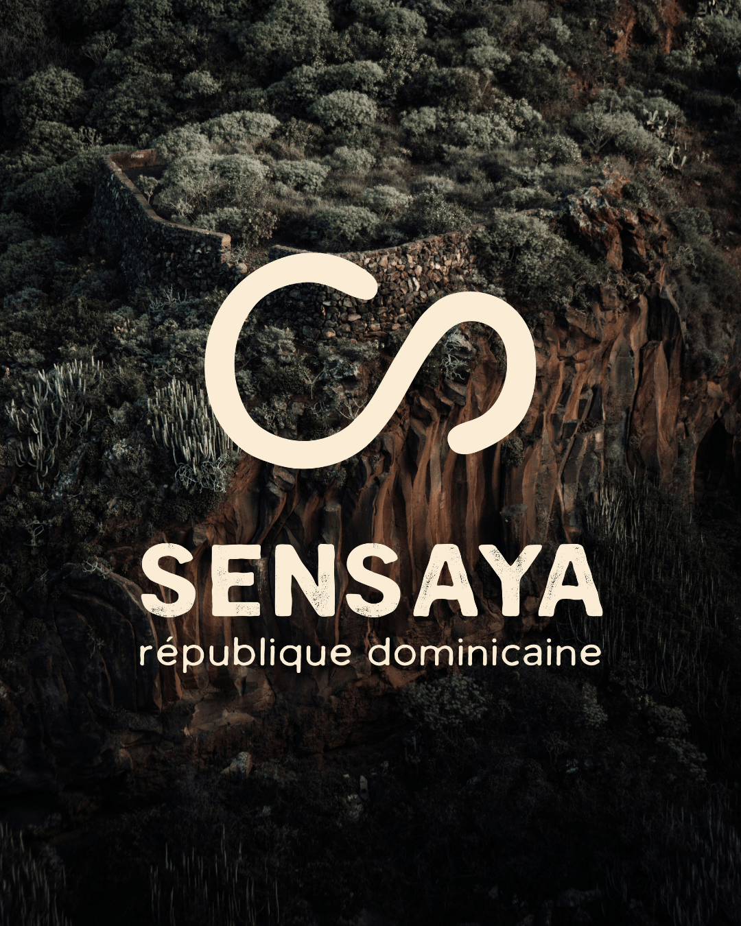 templates instagram sensaya community