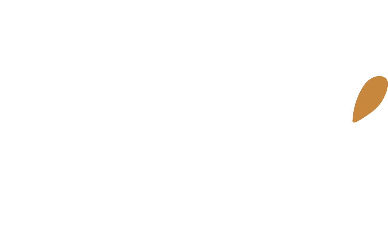 logo blanc citron'elle